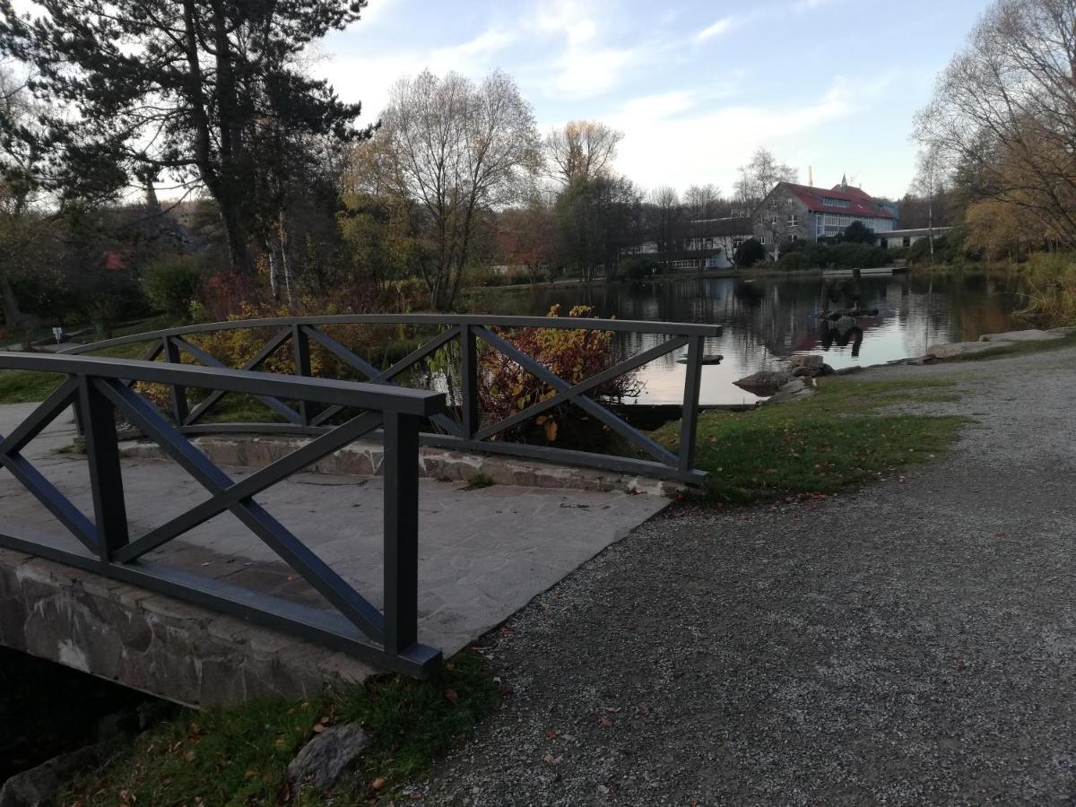 Guglhupf Wohlfuehl-Maisonette Mit Boxspring, Disney, Netflix Braunlage Bagian luar foto