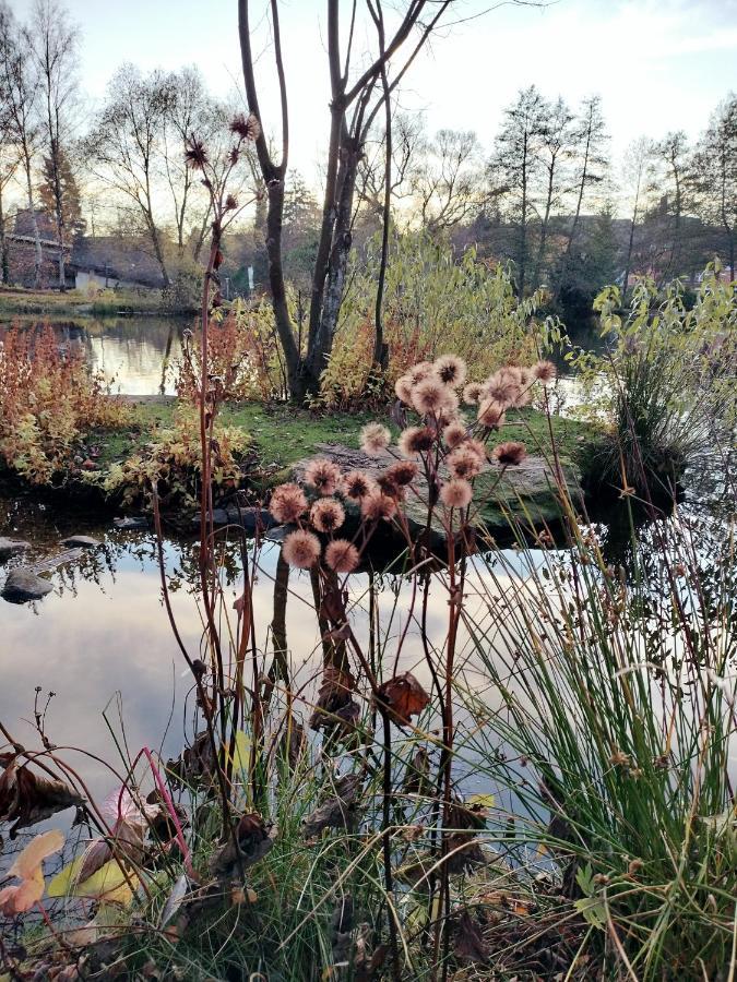 Guglhupf Wohlfuehl-Maisonette Mit Boxspring, Disney, Netflix Braunlage Bagian luar foto